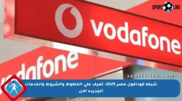 شبكة فودافون مصر 2025: تعرف على الخطوط والشروط والخدمات الجديدة الآن